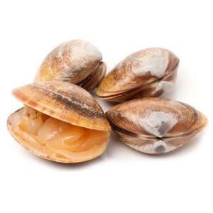 Almejas con Concha 1 Kg