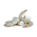 Imagen anterior del producto