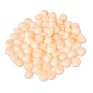 Ostion Sin Coral 1Kg