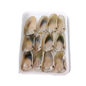 Macha Jumbo Media Concha 12 Und