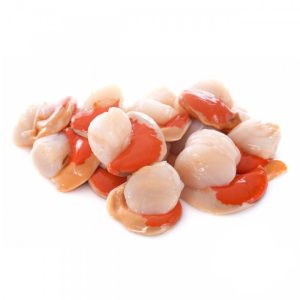 Ostión B Con Coral 1Kg