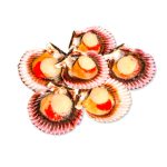 Imagen anterior del producto