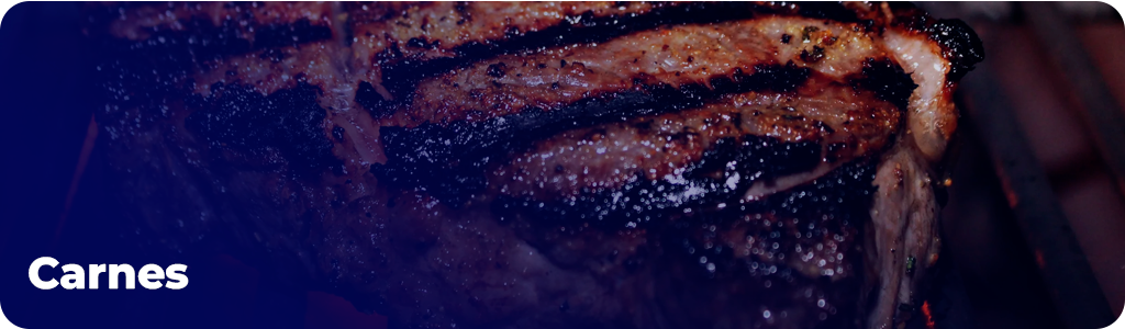 bannermultifrozencarnes